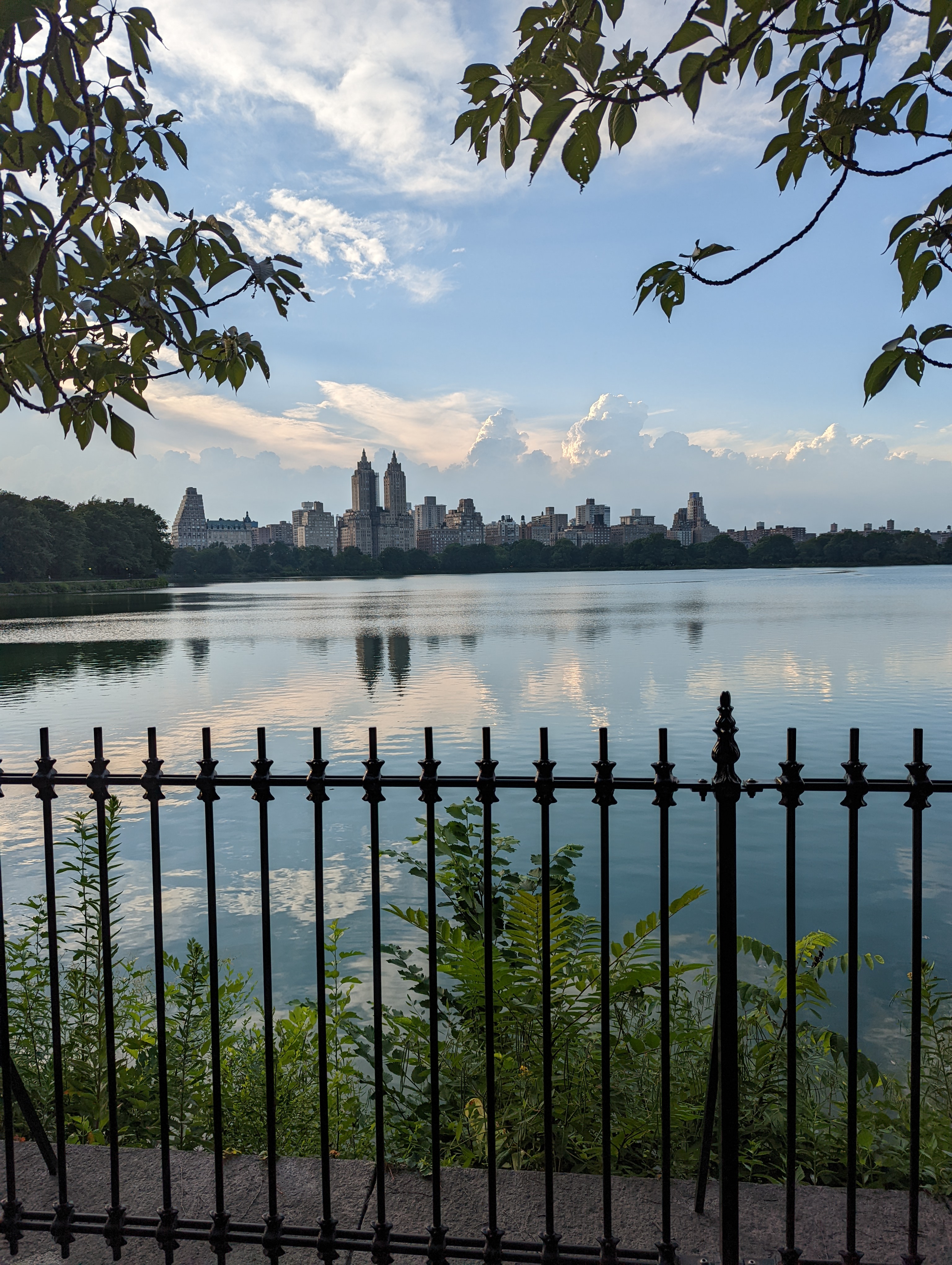 A lakeside city skyline reflected in water, framed by branches and an iron fence.