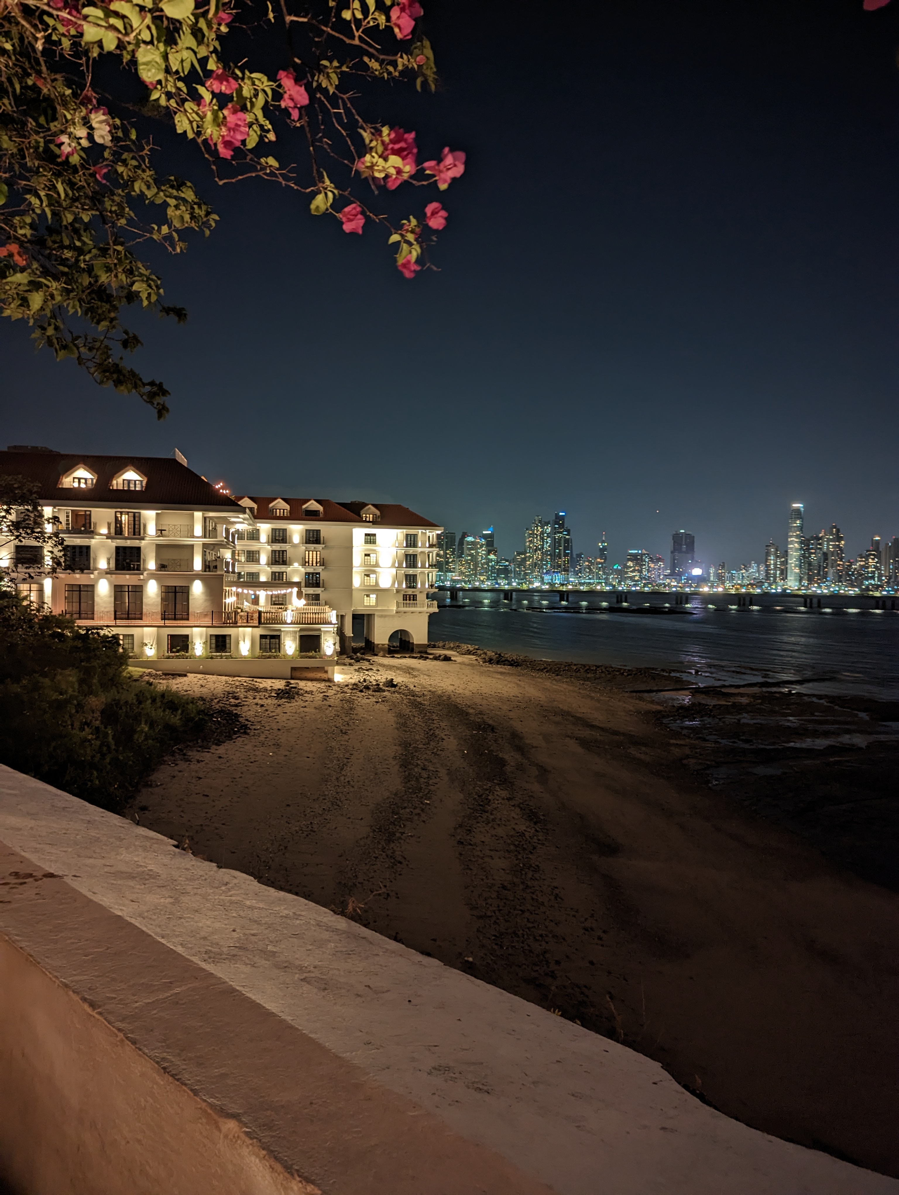A lit waterfront building and distant skyline beneath flowering branches.