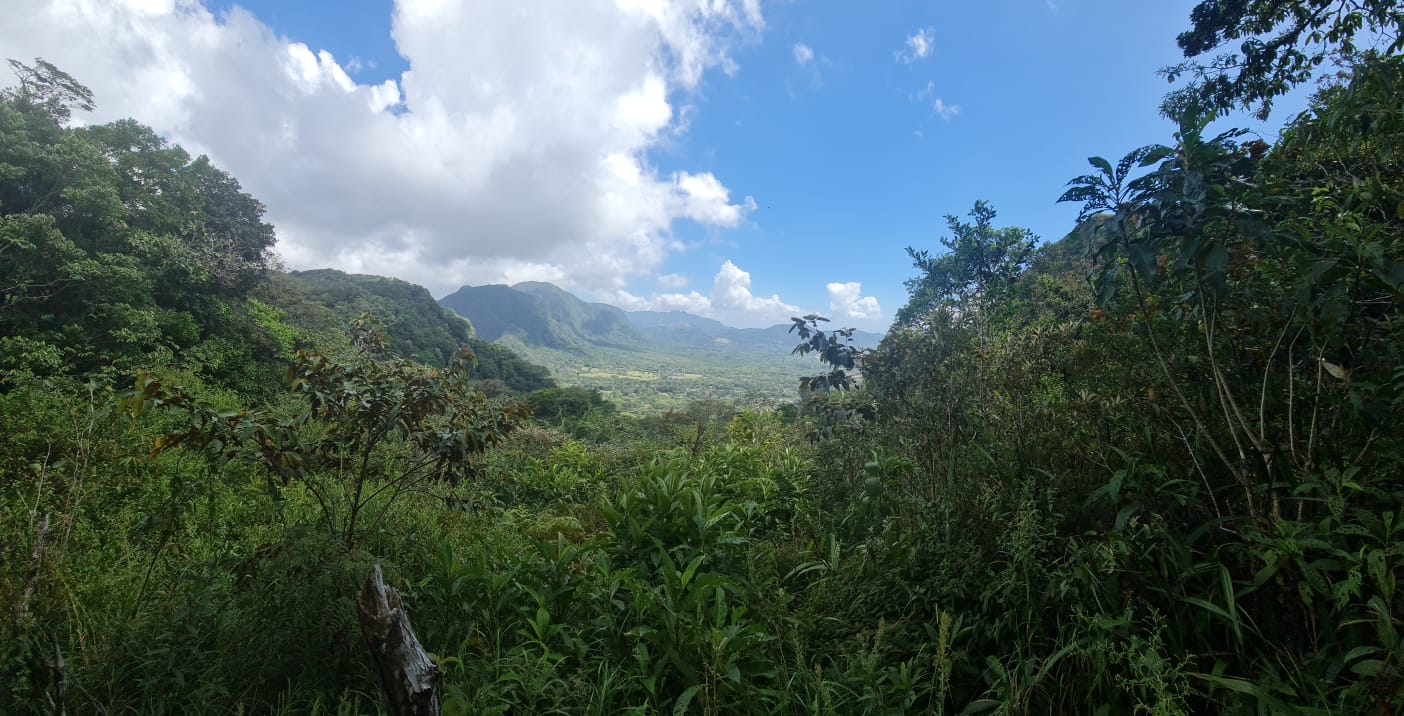 A lush green landscape stretches into the distance.