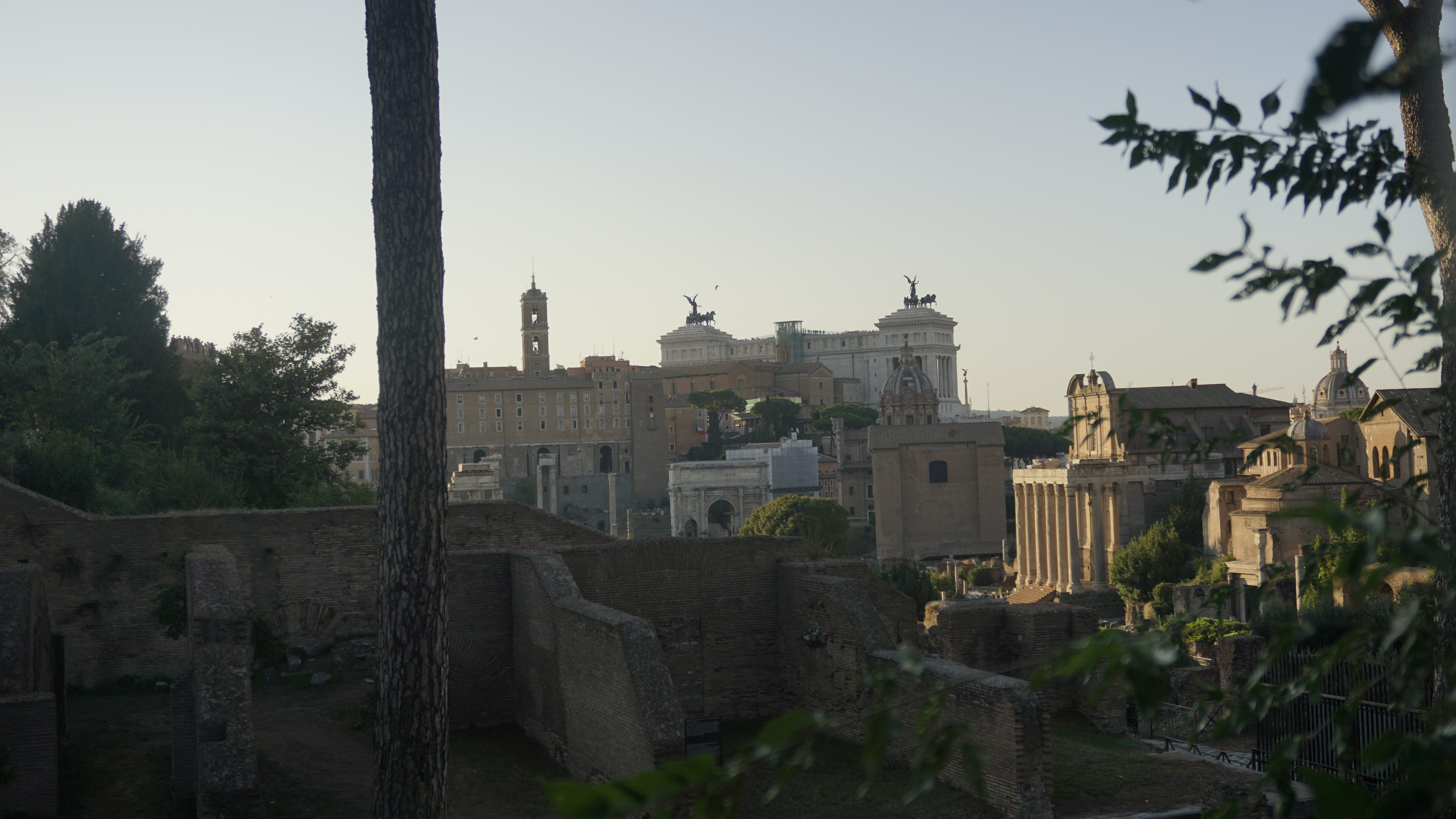 Roman ruins and monuments seen through foreground trees.