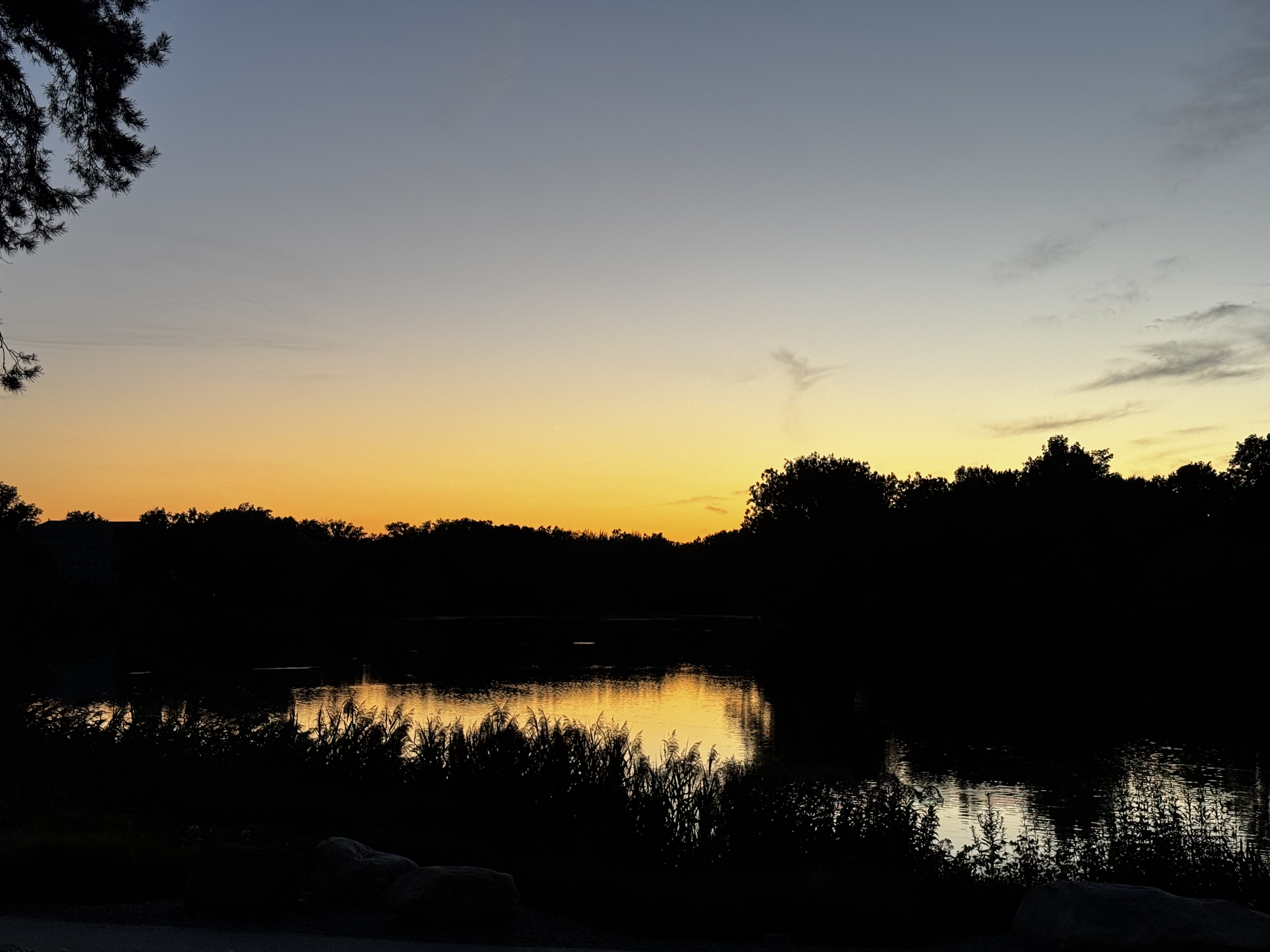 Dark trees and their reflections surround a pond at dusk.