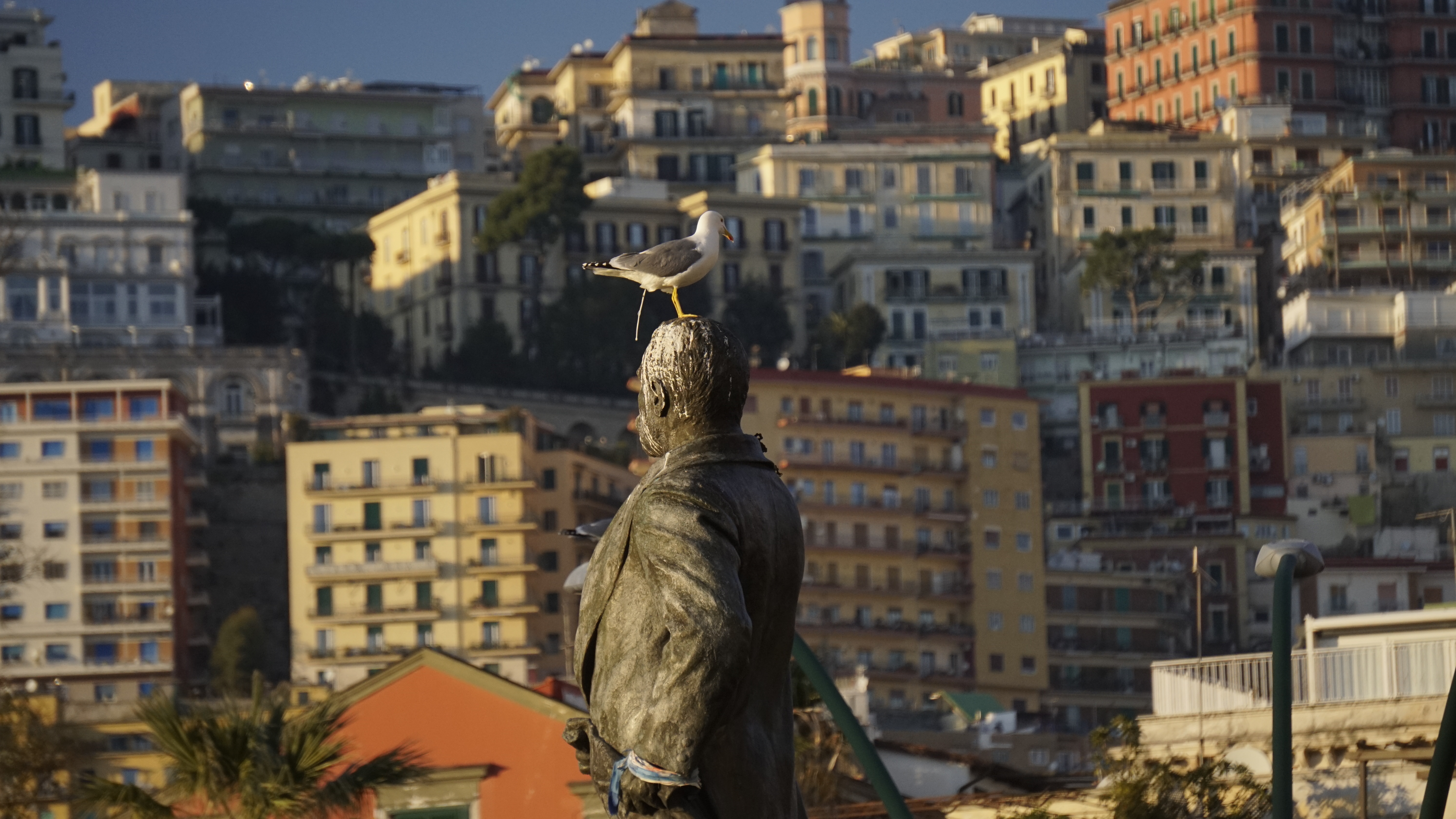 A gull perches on the head of a statue before layered city buildings.